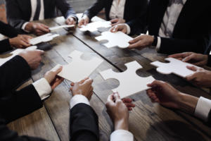 Digital Ecosystems: Do Not Do It Alone!