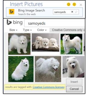 04b use images from your online internet sources