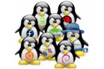 The problem with Linux packaging in large organizations