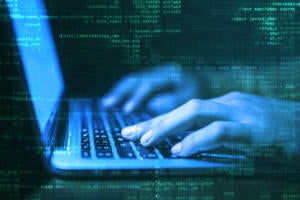security software programmer primary