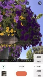 camera apps manual cramped shutter