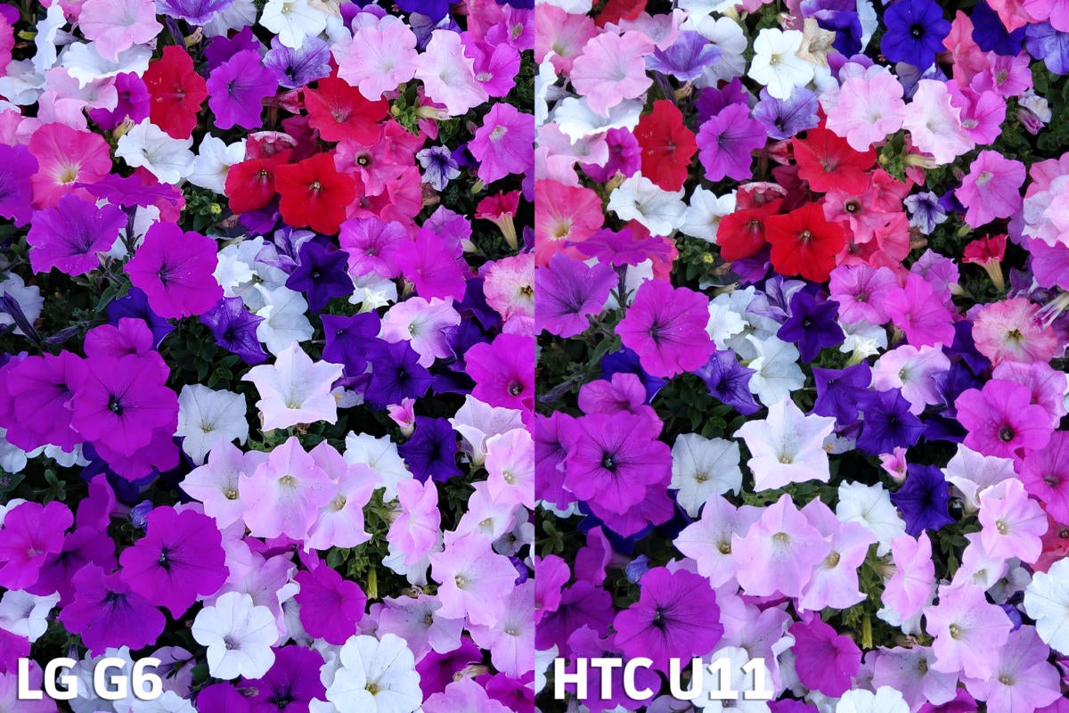 HTC U11 vs LG G6 camera test shot