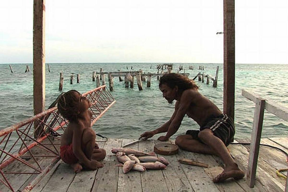 Alamar
