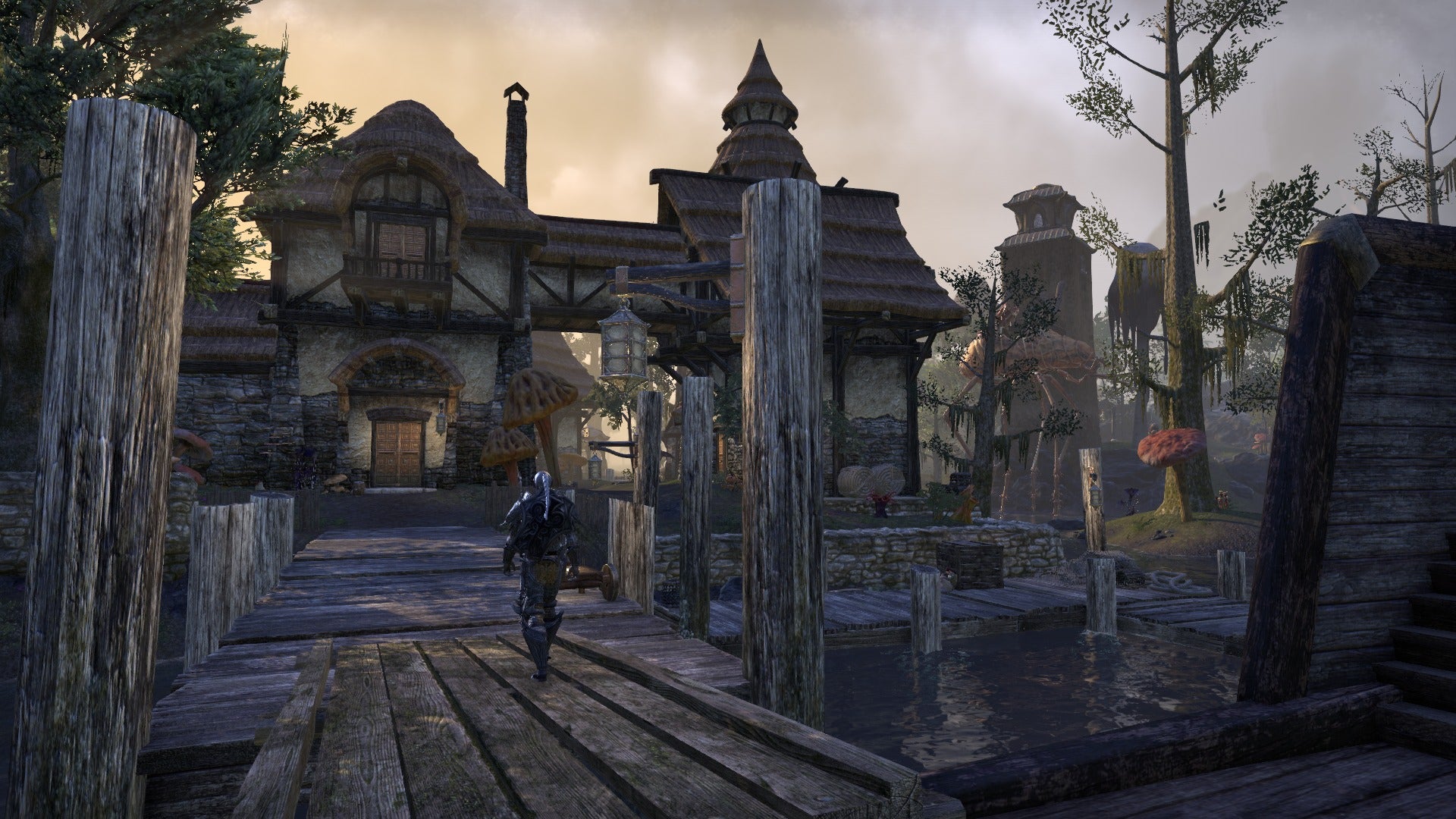 The Elder Scrolls Online: Morrowind, Elder Scrolls