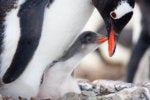 How to get started with Linux: A beginner's guide