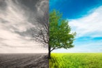 The complex layers of cloud computing sustainability