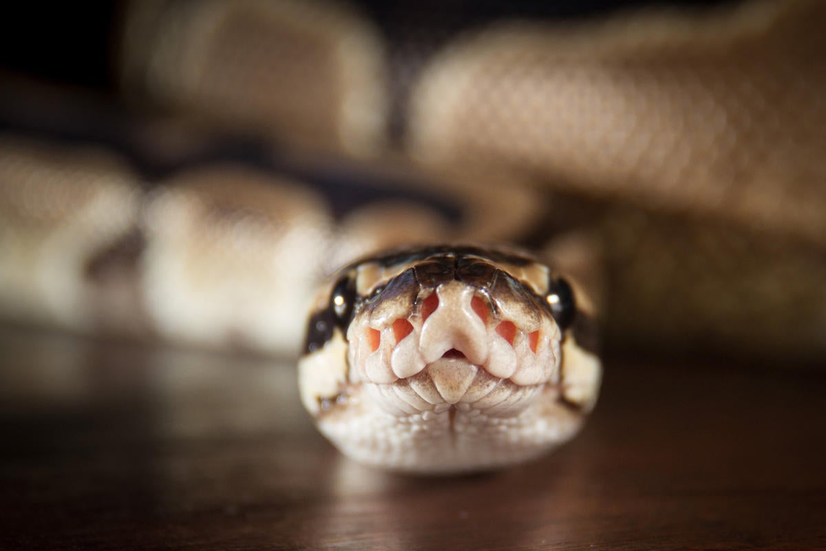 Get started with Anaconda Python