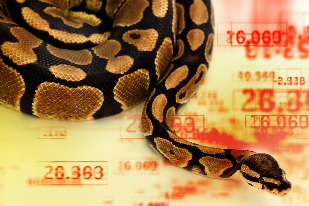 Image: Python and Windows get cozier