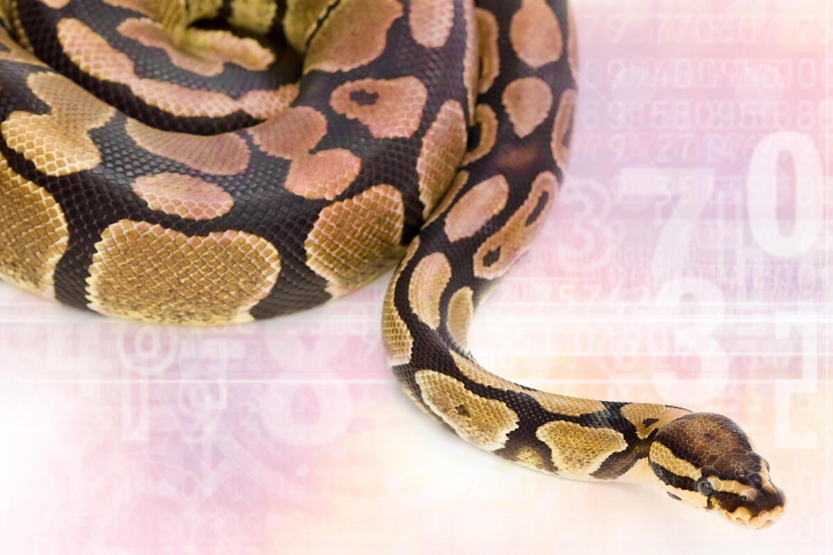 Image: Mozilla brings Python data science to the browser