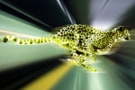 Get moving with Microsoft’s FAST web components