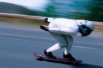Speed, adaptation and the pace of change