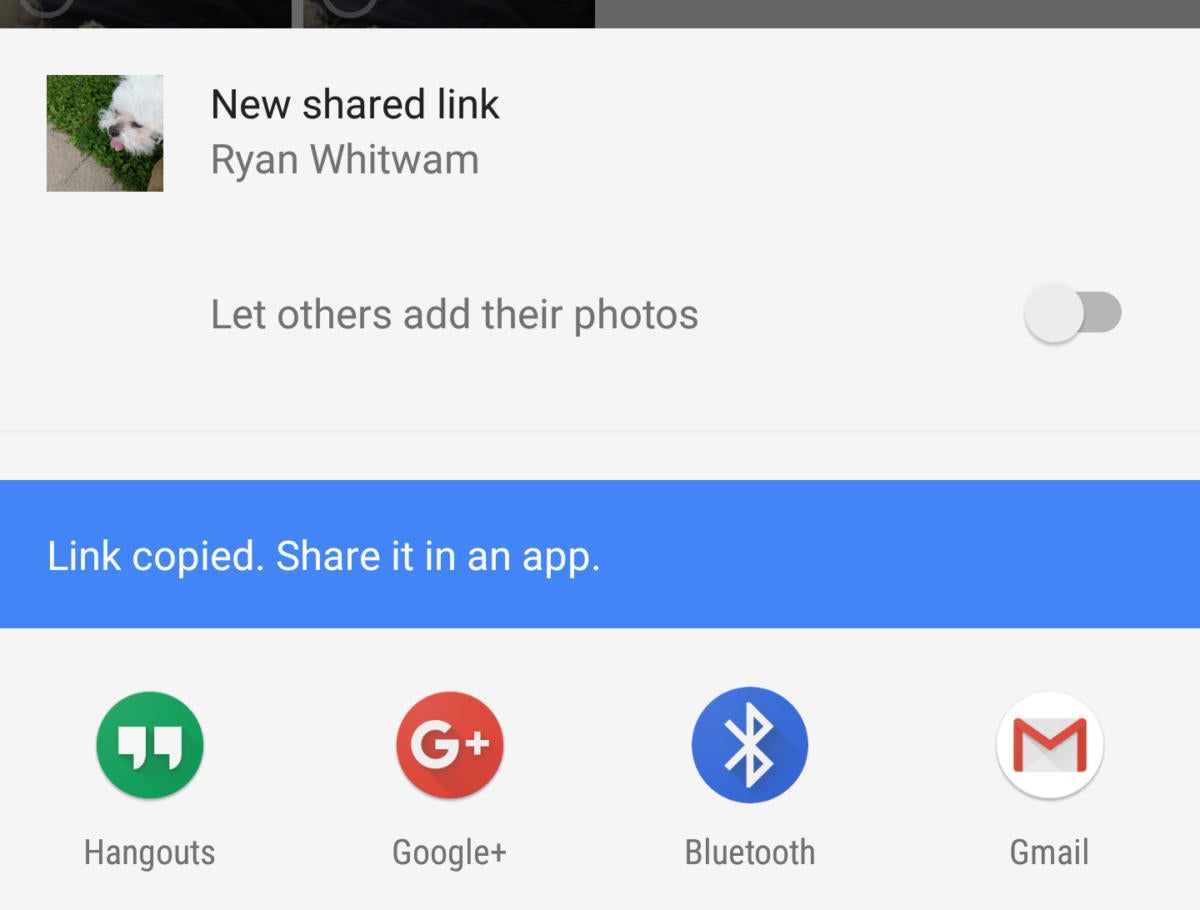 Google Photos sharing links