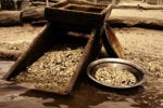 Digging up IP addresses with the Linux dig command
