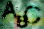 5 cyber security basics you can't afford to ignore