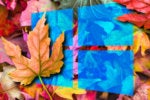 windows 10 fall autumn leaves