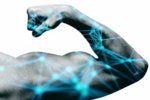 SD-WAN Simplified!