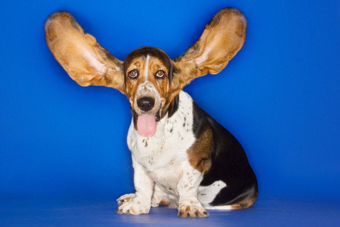 6 listen to be heard