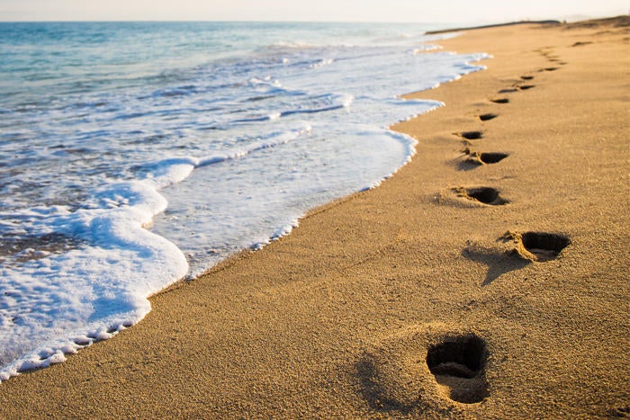 Footsteps in the sand along the ocean