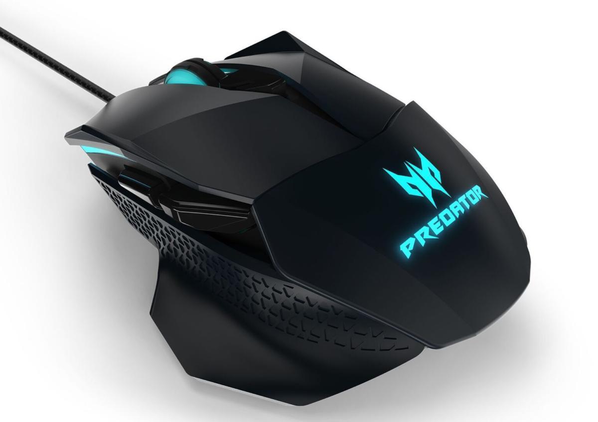 acer predator cestus