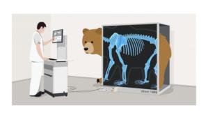 tunnelbearxray 1