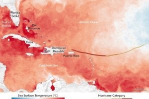 The hurricane preparedness guide for businesses