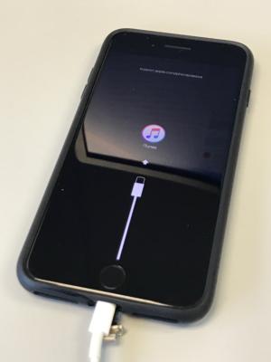 iphone lightning