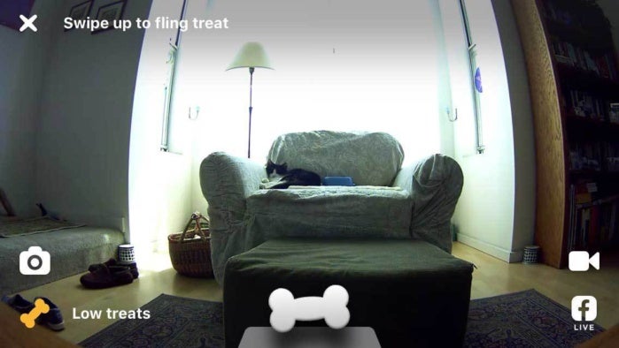 petcube bites 04
