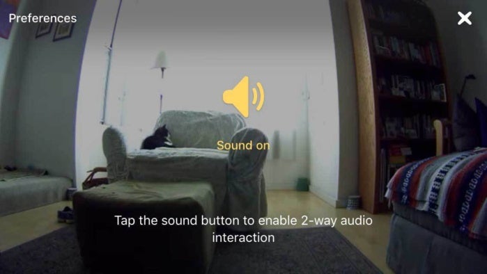 petcube bites 05