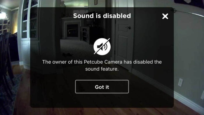 petcube bites 06