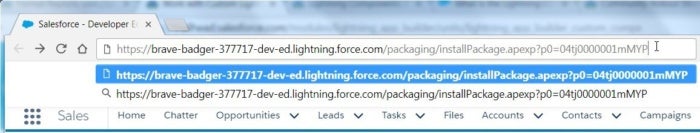 With the package path in your clipboard, past it after the domain name of your Playground in the window you have already logged into
