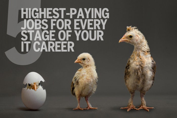 5 highest-paying jobs for every stage of your IT career