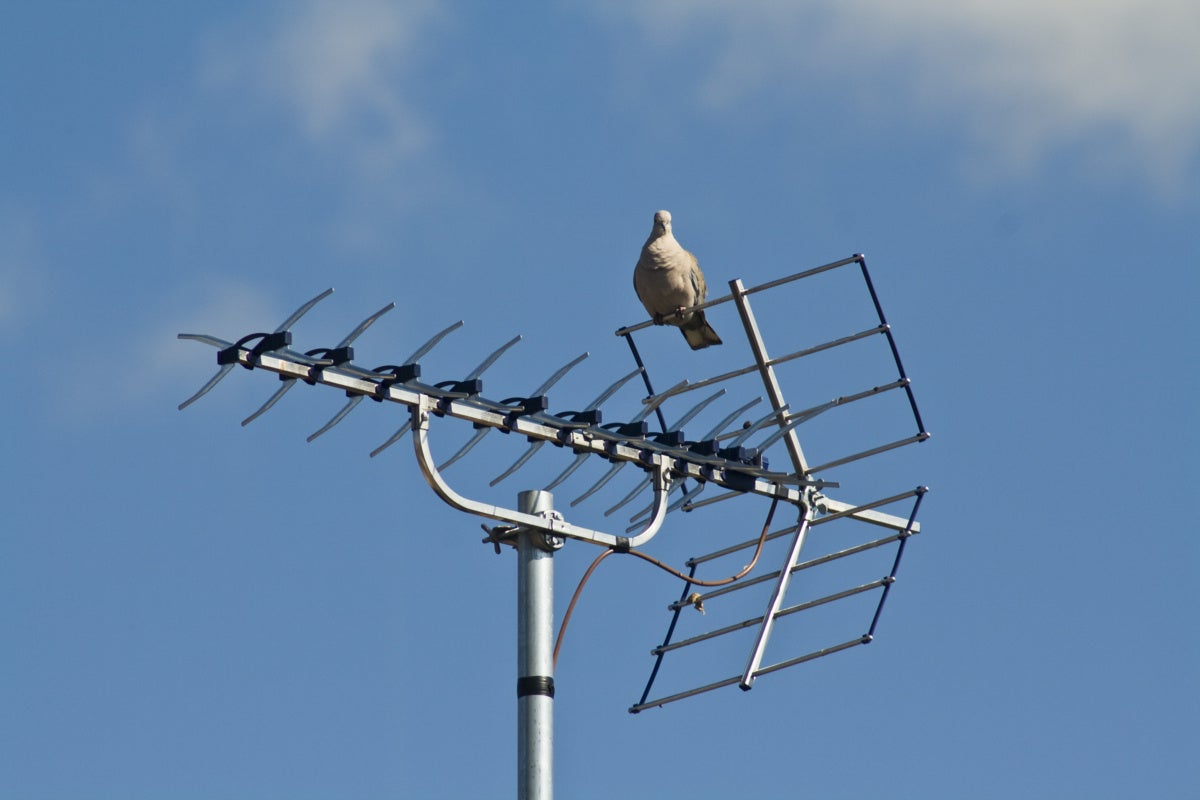 TV Antenna On The Roof Of The House Stock Image - Image of cloudy, clear:  193254713