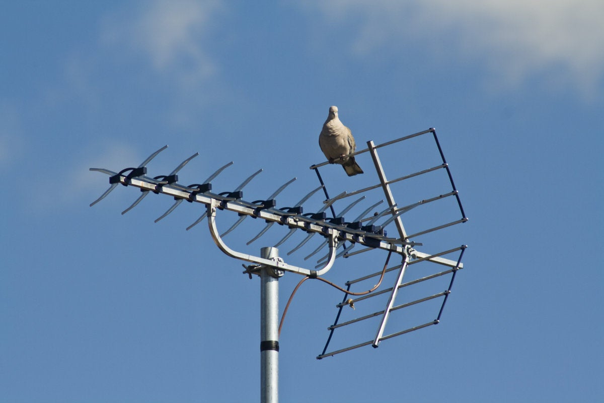 hdtv antenna