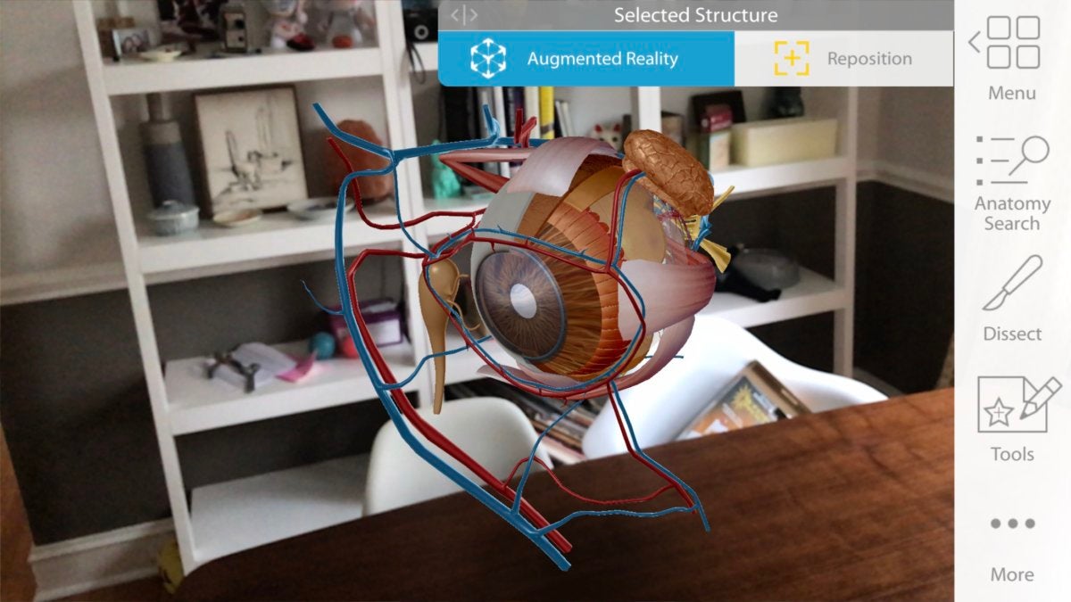 arkit anatomy