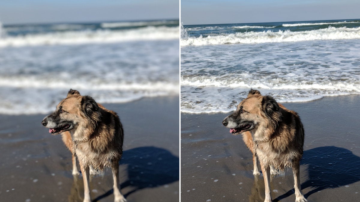 pixel 2 portrait comparison 2