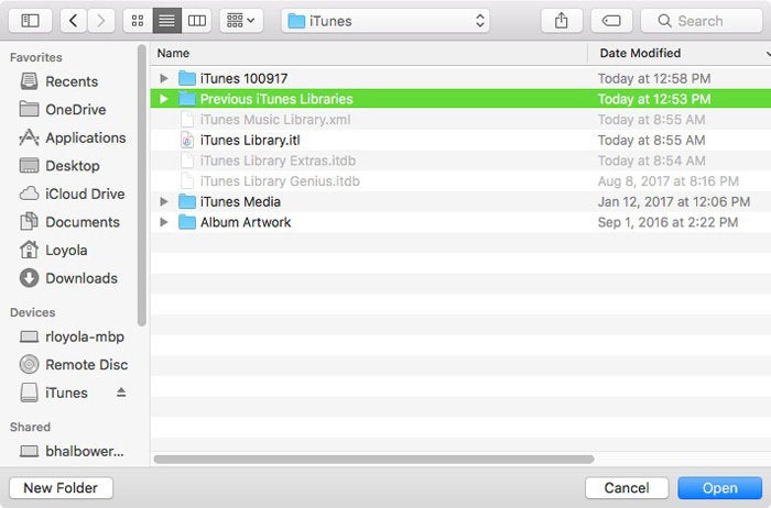 previous itunes libraries