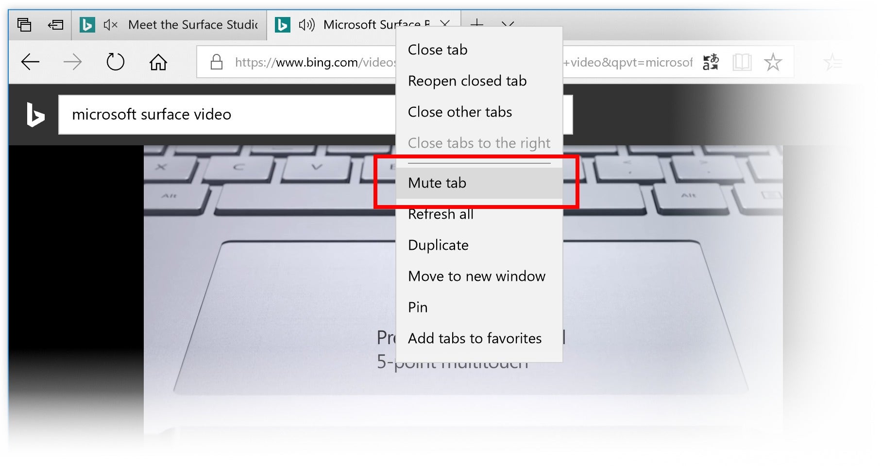how to mute a program in windows 10