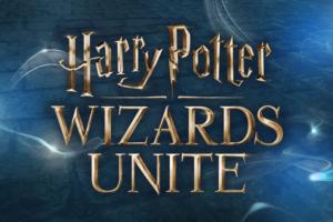harry potter wizards logo