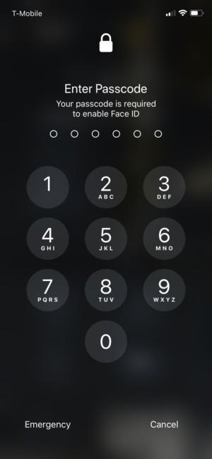 iphone x face id passcode