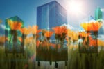 micro modular data center growing