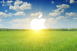 apple in 2018 primary