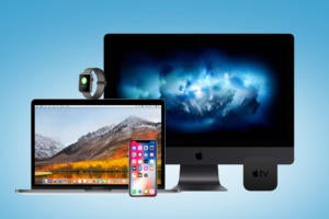 apple year in review primary