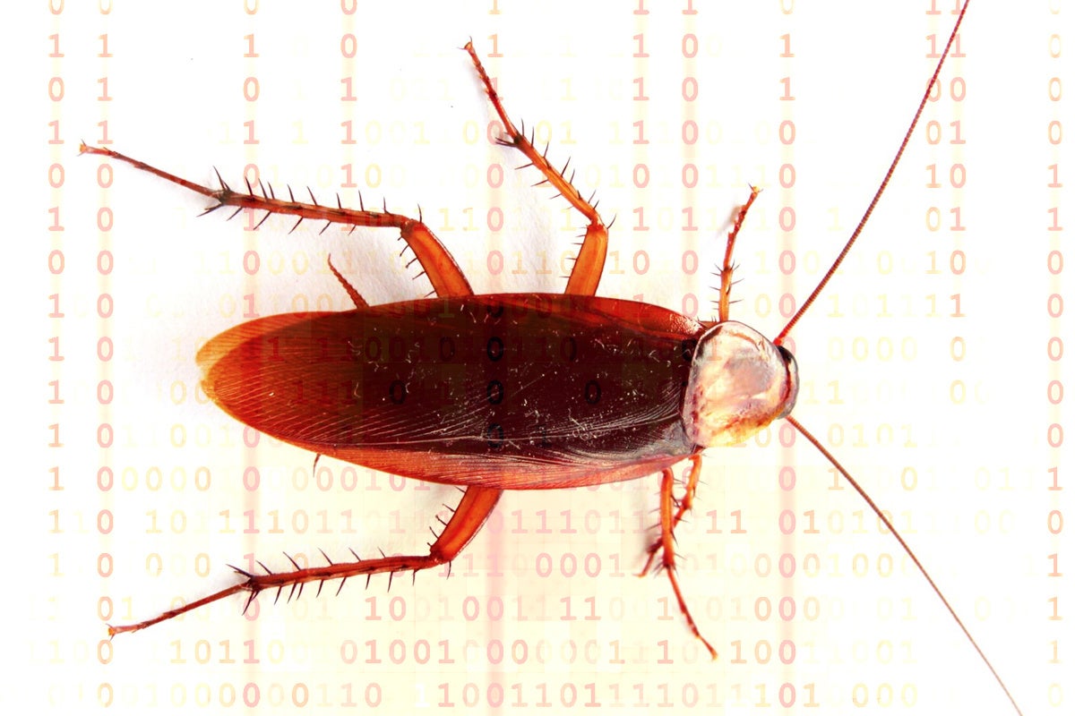 photo of 4 Python test frameworks to crush your bugs image