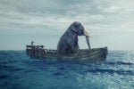 HPE plus MapR: Too much Hadoop, not enough cloud
