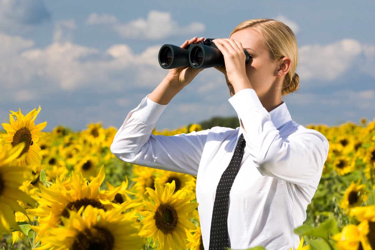 businesswoman with binoculars in sunflower field vision future predictions