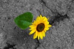 Taking a counterintuitive approach to business strategy and technology deployment