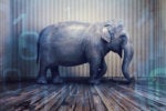 Don’t ignore the elephant in the room: deal with your legacy systems
