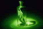 Are you the bottleneck to growth in your organization? Here’s how to fix that