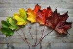 It's time to change your cloud operating model