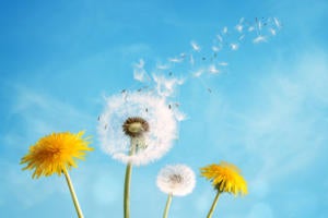 7 digital transformation myths